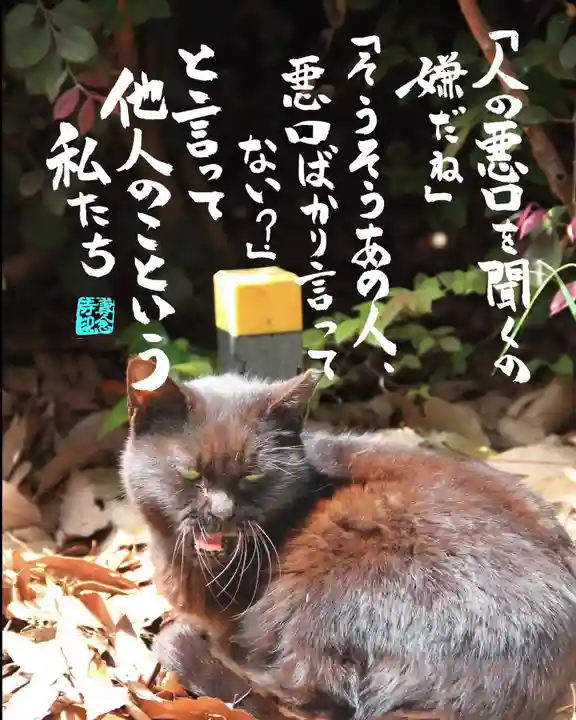 専念寺(大阪府)