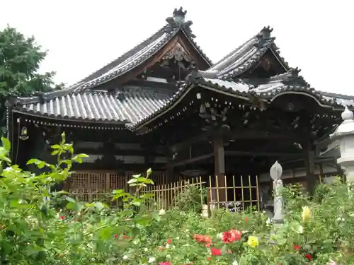おふさ観音（観音寺）の本殿・本堂