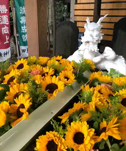 田無神社(東京都)