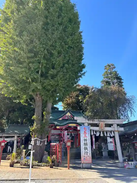 川越八幡宮(埼玉県)