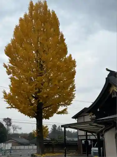 高麗神社(埼玉県)
