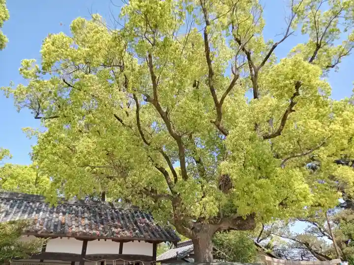 柴籬神社(大阪府)