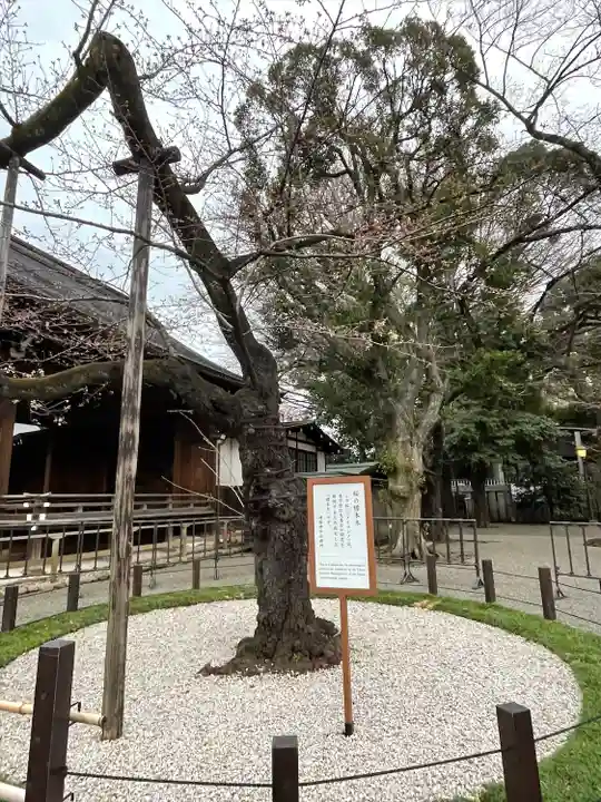 靖國神社の庭園