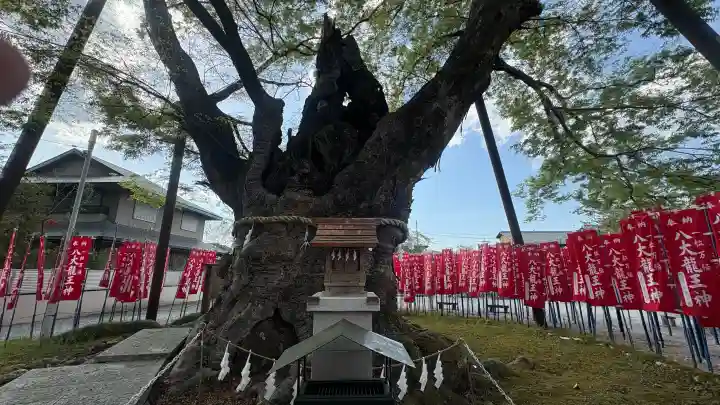 秩父今宮神社の{uncategorized: "未分類", other: "その他", undefined: "問題あり", building: "その他建物", grave: "お墓", sacred_gate: "鳥居", guardian: "狛犬", statue: "像", buddha: "仏像", history: "歴史", nature: "自然", garden: "庭園", animal: "動物", pagoda: "塔", temizu: "手水舎", mountain_gate: "山門・神門", sanctuary: "本殿・本堂", subordinate: "末社・摂社", art: "芸術", scenery: "景色", jizo: "地蔵", ema: "絵馬", goshuin: "御朱印", omikuji: "おみくじ", items: "授与品その他", amulet: "お守り", goshuincho: "御朱印帳", eats: "食事", festival: "お祭り", votive_dance: "神楽", shichigosan: "七五三参", wedding: "結婚式", experience: "体験その他", initially: "初詣", around: "周辺", anti_infection: "感染症対策"}