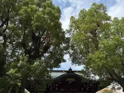 橘樹神社(神奈川県)