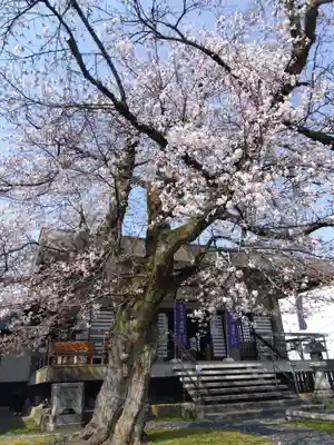 妙経寺(福井県)