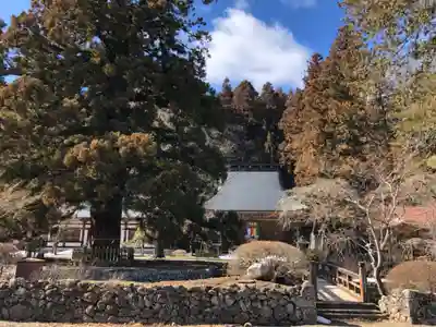 津金寺(長野県)