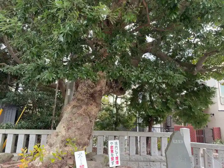 皇大神宮(烏森神社)(神奈川県)