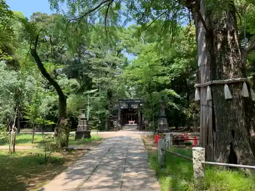 赤坂氷川神社のその他建物