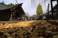 開成山大神宮の本殿・本堂