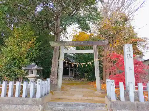 浪寄社の鳥居