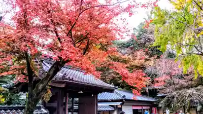 定光寺の山門・神門