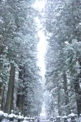 北口本宮冨士浅間神社(山梨県)