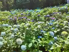 妙楽寺(神奈川県)