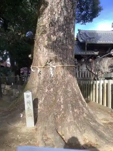 北野天神社の自然