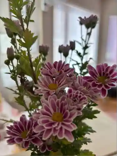 金枝白蛇大権現(栃木県)