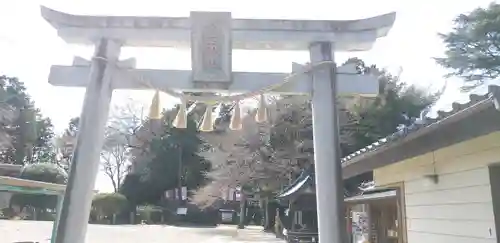 前玉神社(埼玉県)