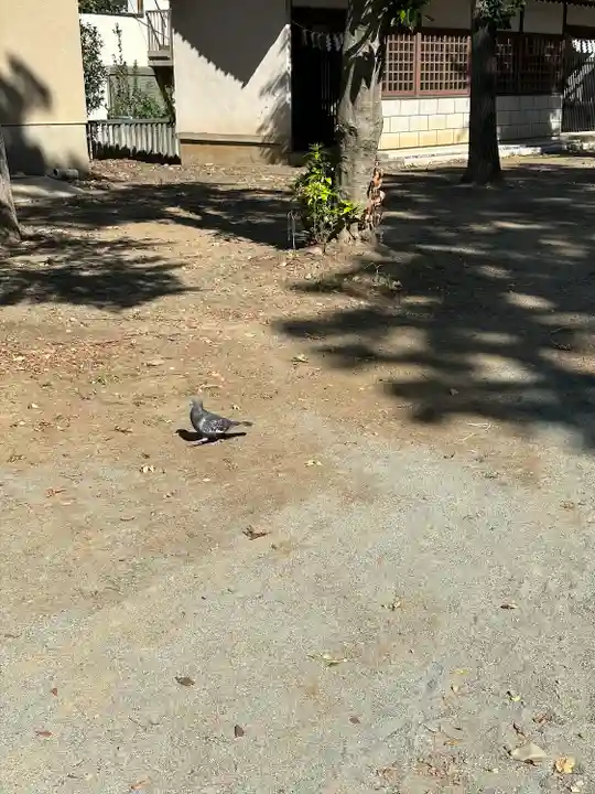 小野神社(東京都)