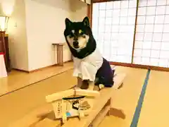 日本唯一香辛料の神　波自加彌神社の動物