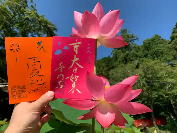 普門寺(切り絵御朱印発祥の寺)の御朱印