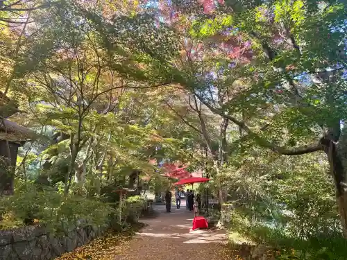 国宝　長寿寺(滋賀県)