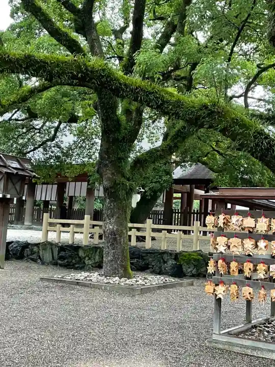 熱田神宮の自然