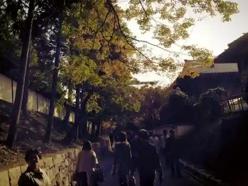 東福禅寺（東福寺）の庭園