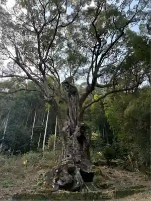 武雄神社(佐賀県)