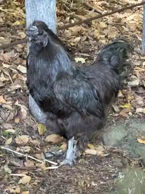 熱田神宮(愛知県)