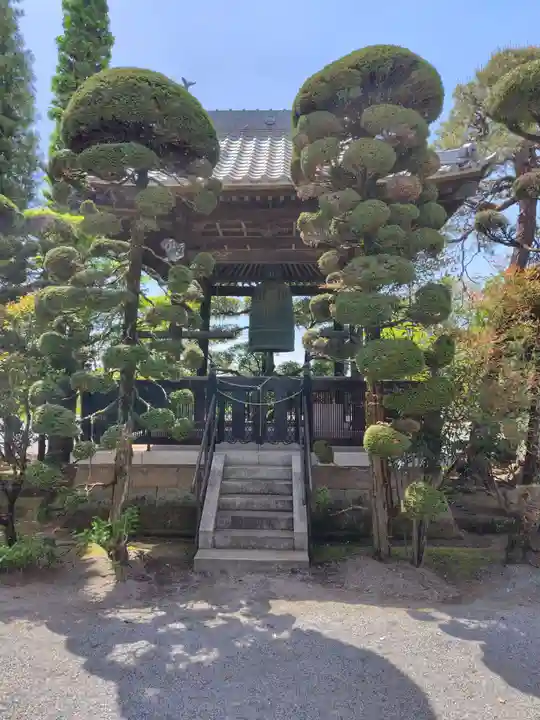 照明寺 (反町薬師尊)(群馬県)
