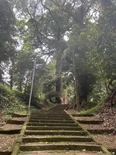 日吉神社(千葉県)
