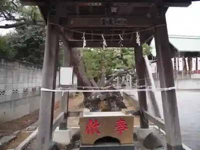 西小松川天祖神社の手水舎