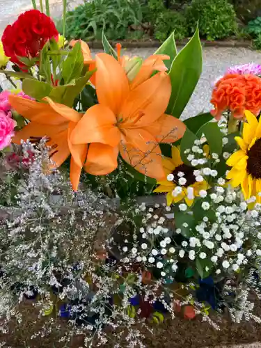 水堂須佐男神社(兵庫県)