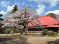 金光院(千葉県)