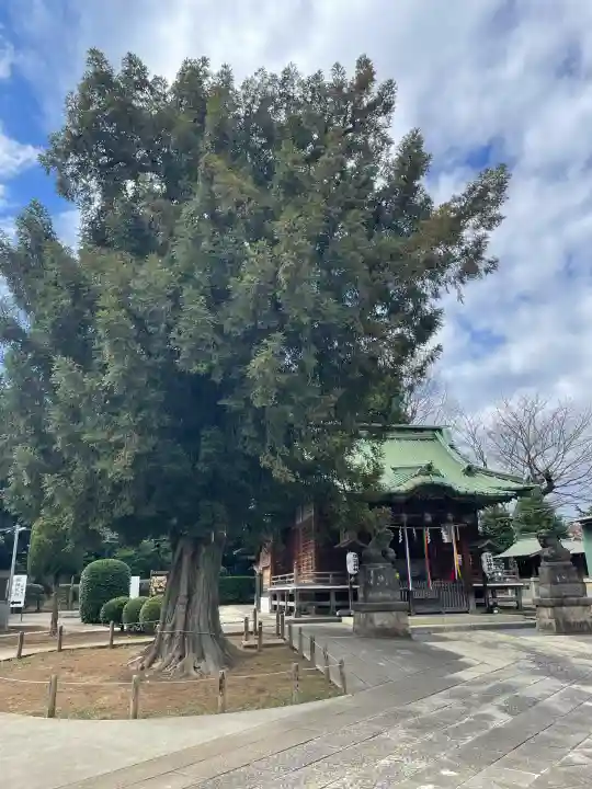 諏訪神社の{uncategorized: "未分類", other: "その他", undefined: "問題あり", building: "その他建物", grave: "お墓", sacred_gate: "鳥居", guardian: "狛犬", statue: "像", buddha: "仏像", history: "歴史", nature: "自然", garden: "庭園", animal: "動物", pagoda: "塔", temizu: "手水舎", mountain_gate: "山門・神門", sanctuary: "本殿・本堂", subordinate: "末社・摂社", art: "芸術", scenery: "景色", jizo: "地蔵", ema: "絵馬", goshuin: "御朱印", omikuji: "おみくじ", items: "授与品その他", amulet: "お守り", goshuincho: "御朱印帳", eats: "食事", festival: "お祭り", votive_dance: "神楽", shichigosan: "七五三参", wedding: "結婚式", experience: "体験その他", initially: "初詣", around: "周辺", anti_infection: "感染症対策"}
