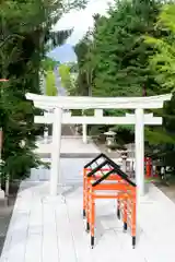 住吉神社の鳥居