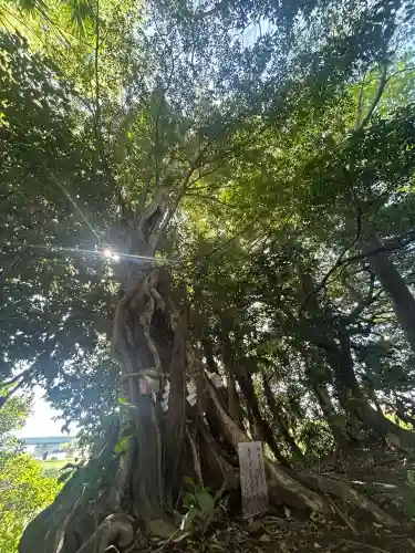 有鹿神社(神奈川県)