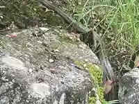 伊勢の国 四天王寺(三重県)