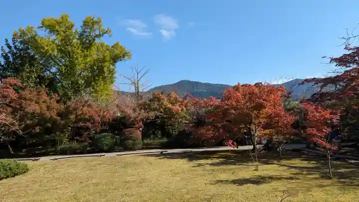 勧修寺(京都府)