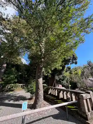 伊豆山神社(静岡県)