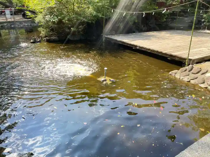 平塚八幡宮の御朱印