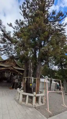 建部大社(滋賀県)