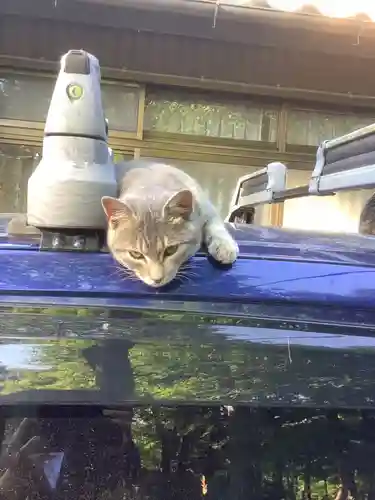 玉野御嶽神社の動物
