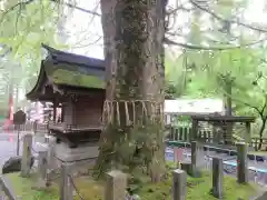 正法寺の自然