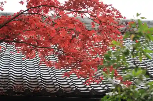 石清水八幡宮(京都府)