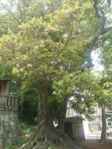 諏訪神社の庭園