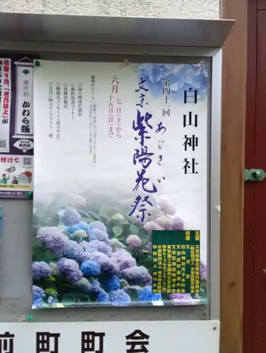 白山神社(東京都)