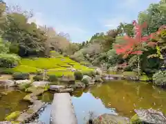 退蔵院(京都府)