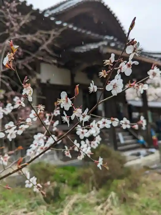 十輪寺(京都府)