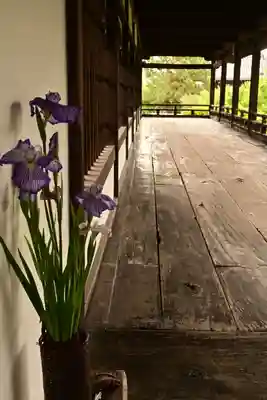 本徳寺(兵庫県)